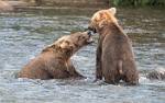 Alaska_588