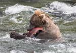 Alaska_589