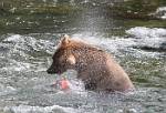Alaska_590