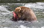 Alaska_591