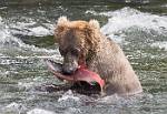 Alaska_592