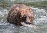 Alaska_593