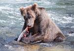 Alaska_594