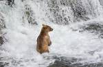 Alaska_595