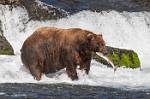Alaska_597