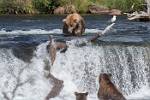 Alaska_598