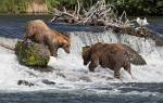 Alaska_599