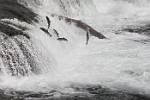 Alaska_601
