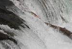 Alaska_602