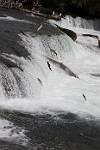 Alaska_605