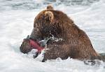 Alaska_607