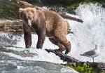 Alaska_608