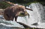 Alaska_609