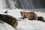 Alaska_610