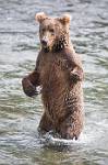 Alaska_611