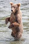 Alaska_612