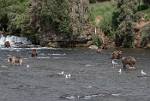 Alaska_613