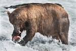 Alaska_614