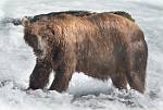 Alaska_615