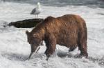 Alaska_616