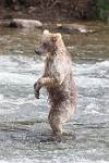 Alaska_617