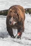 Alaska_618