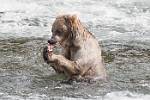 Alaska_619