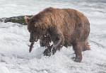 Alaska_621