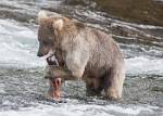 Alaska_623