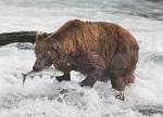 Alaska_624