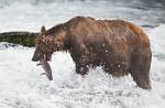 Alaska_627