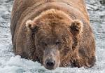 Alaska_628