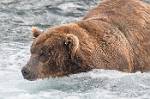 Alaska_629