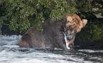 Alaska_630