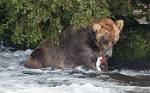 Alaska_631