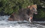 Alaska_632