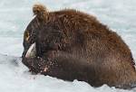 Alaska_633
