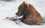 Alaska_634