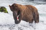Alaska_636