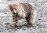 Alaska_637