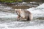 Alaska_638