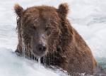 Alaska_639