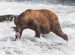 Alaska_642