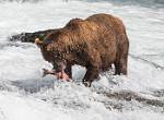 Alaska_643