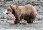 Alaska_644