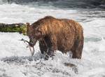 Alaska_645