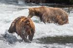 Alaska_646