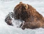 Alaska_647