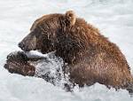 Alaska_648