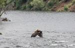Alaska_649
